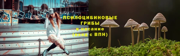мяу мяу мука Армянск